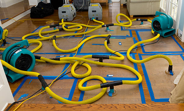 Professional Structural Drying And Dehumidification technician working in Leetonia, OH